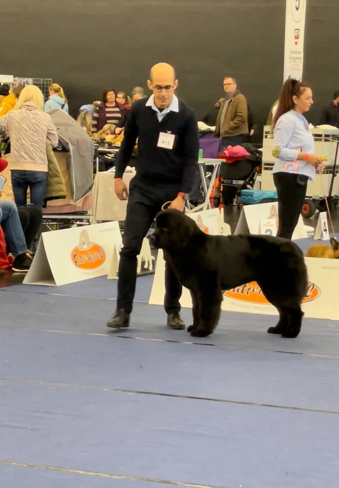 Ein sorgfältig gepflegter großer schwarzer Hund wird in einer Ausstellungshalle präsentiert
